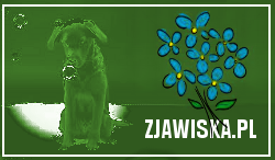 Czas zimowy