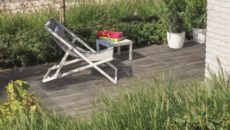 Polbruk_Forest_OakBrown72dpi