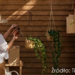 Jaki kupić styropian, aby być pewnym oszczędności na ogrzewaniu?