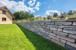 Murek Albero(1) Beton potrafi inspirować. Natura zaklęta w betonie
