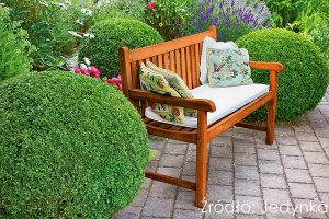 Jedynka-Deco-Protect-Impregnat-3w1_kolor-Tek-azjatycki